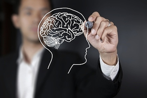 Brain Mapping